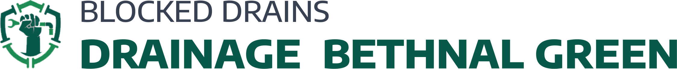 website logo